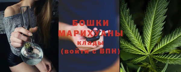 прущие грибы Протвино