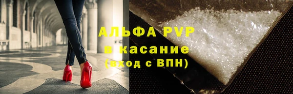 прущие грибы Протвино