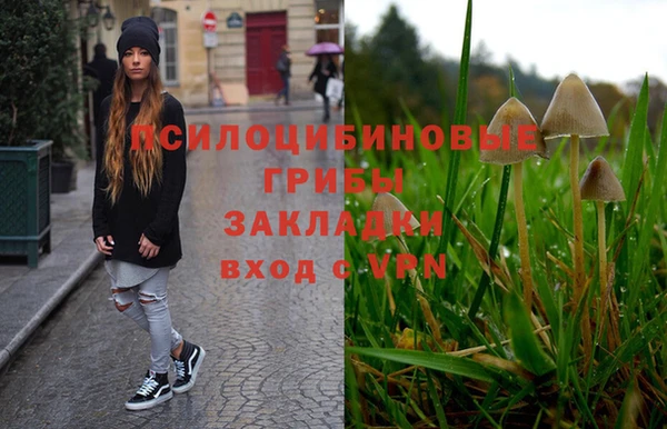 прущие грибы Протвино