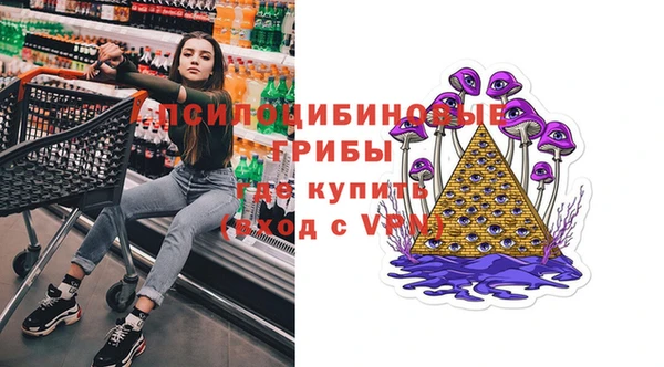 прущие грибы Протвино