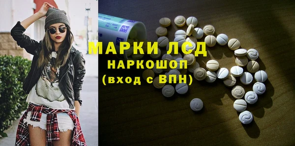 прущий лед Бикин