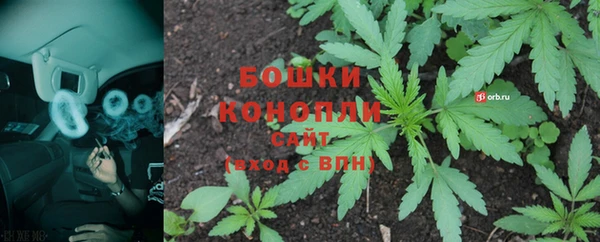прущие грибы Протвино