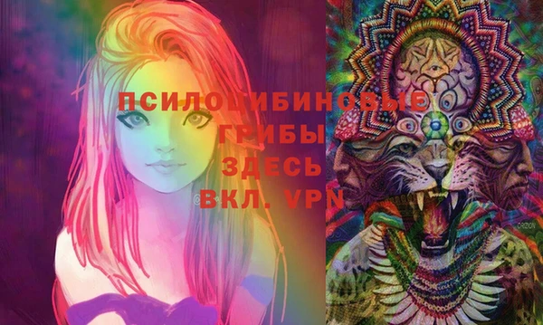 Альфа ПВП Лихославль