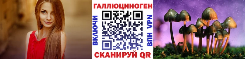 Галлюциногенные грибы Psilocybine cubensis Белогорск