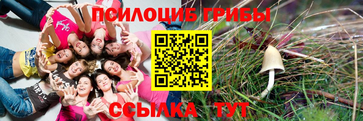 Галлюциногенные грибы мицелий  Псилоцибиновые грибы мухоморы  Белогорск  Вход с VPN 