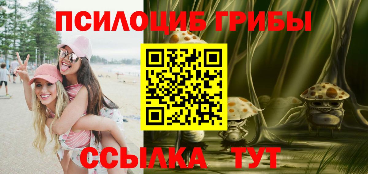 Псилоцибиновые грибы Psilocybine cubensis  Белогорск  Псилоцибиновые грибы ЛСД 